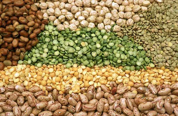 انواع حبوبات (عدس، نخود، لوبیا) به عنوان غذای ارزان چاق کننده با پروتئین گیاهی بالا