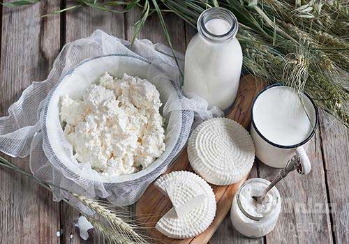 ماست پرچرب و پنیر به عنوان غذای چاق کننده و منبع پروتئین